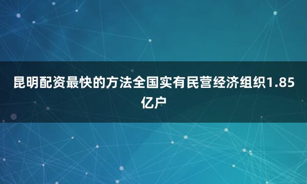 昆明配资最快的方法全国实有民营经济组织1.85亿户