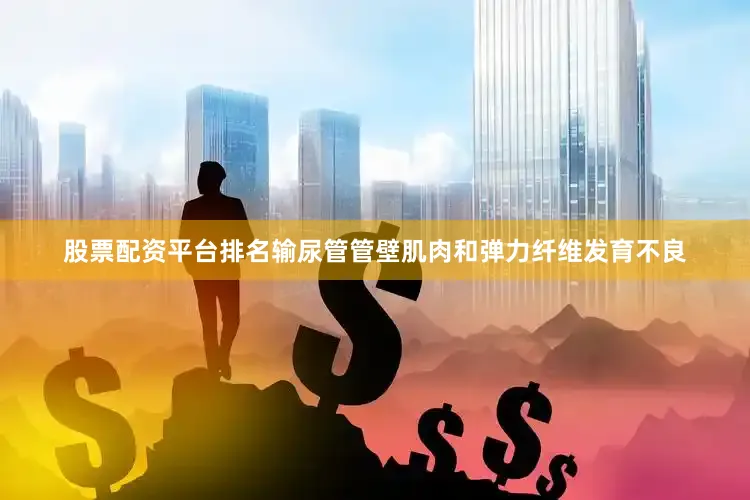 股票配资平台排名输尿管管壁肌肉和弹力纤维发育不良