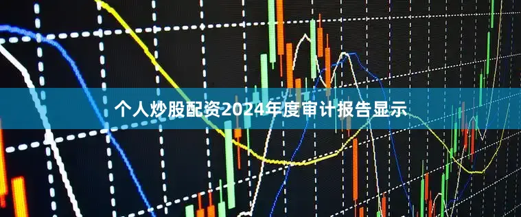 个人炒股配资2024年度审计报告显示