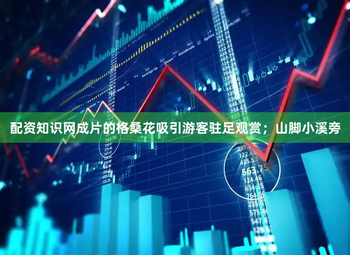 配资知识网成片的格桑花吸引游客驻足观赏；山脚小溪旁