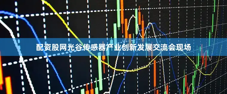 配资股网光谷传感器产业创新发展交流会现场