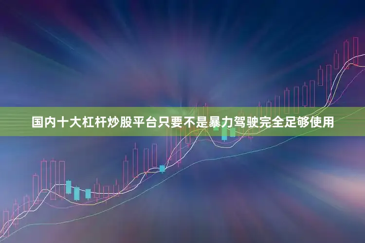 国内十大杠杆炒股平台只要不是暴力驾驶完全足够使用